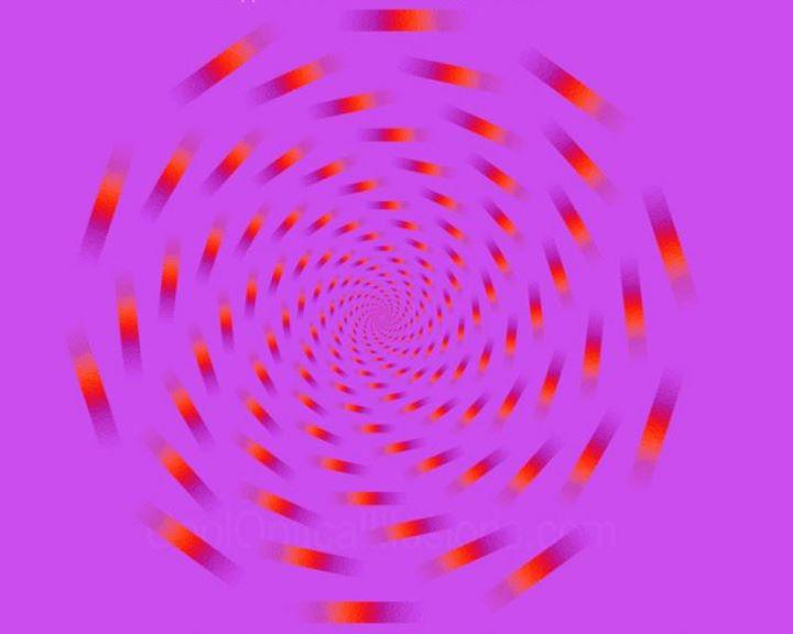376994_279610325413885_242225145819070_777394_1876057139_n
